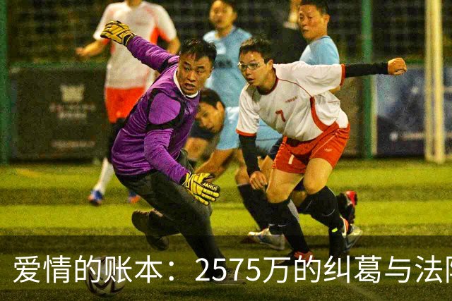 爱情的账本：2575万的纠葛与法院的幽默裁定
